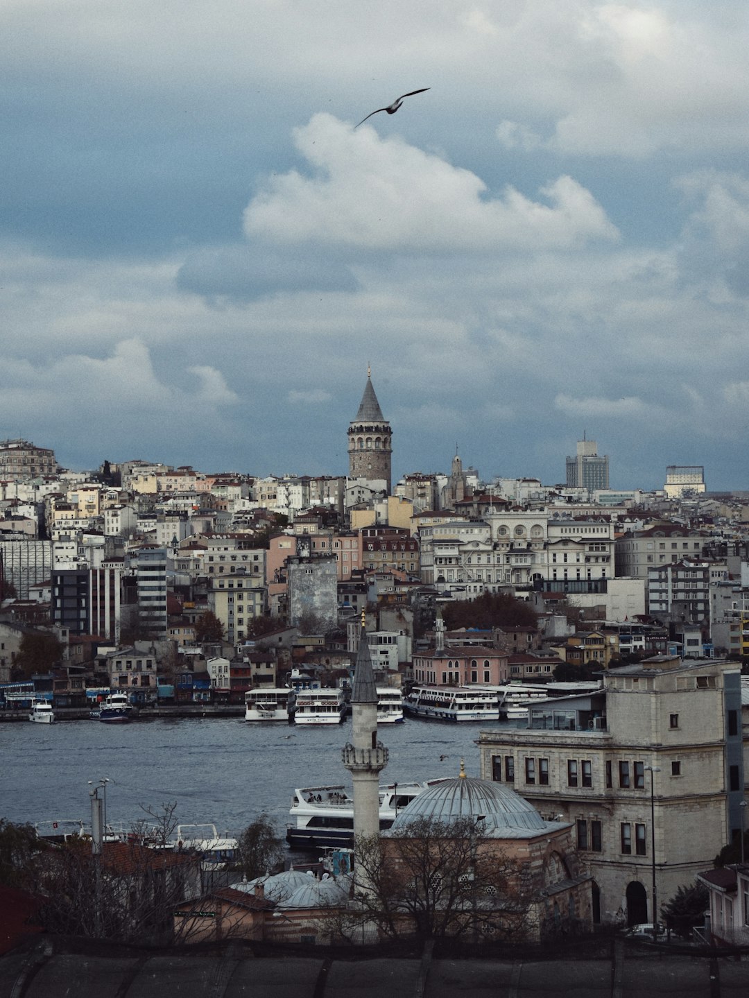 Türkiye'de Yatırım Fırsatları